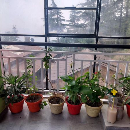 Tree Valley Homestay Chail Ngoại thất bức ảnh