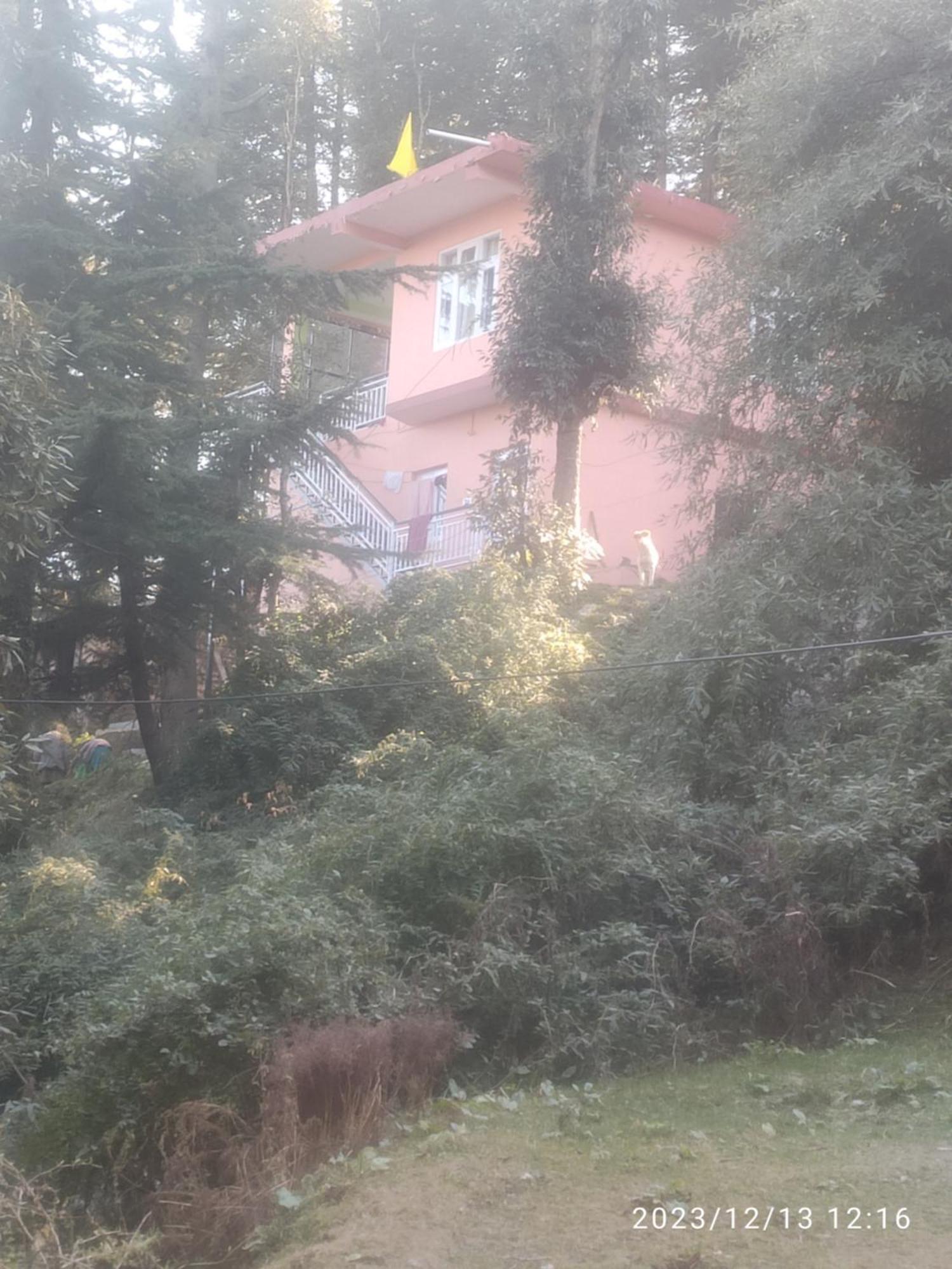 Tree Valley Homestay Chail Ngoại thất bức ảnh