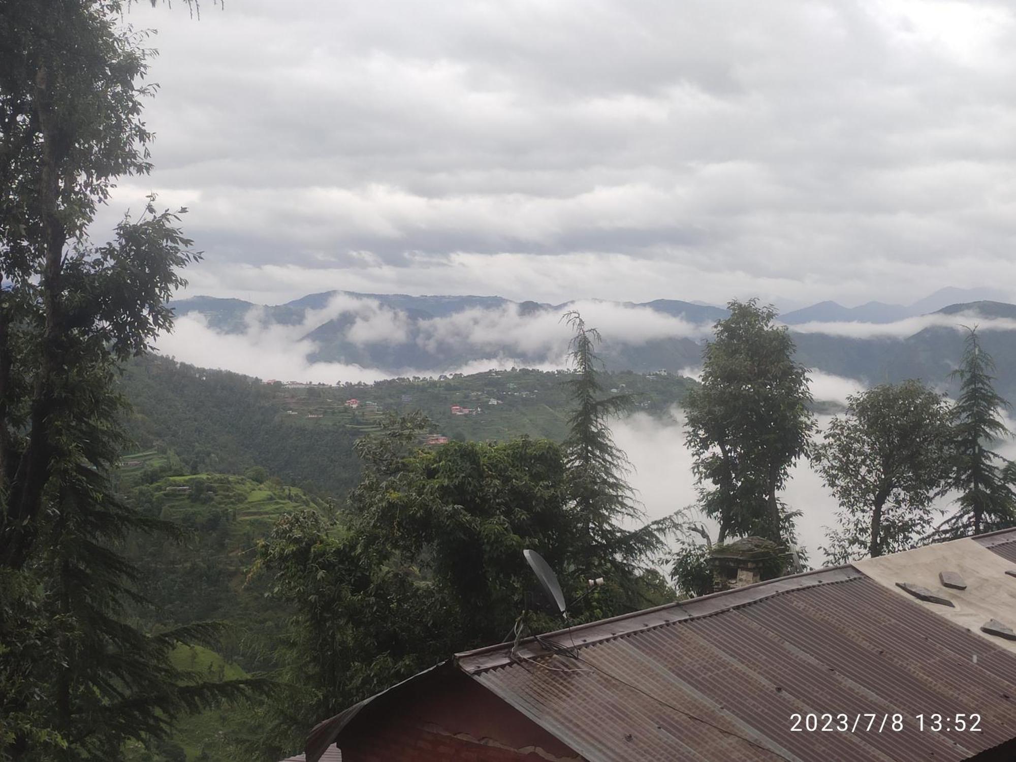Tree Valley Homestay Chail Ngoại thất bức ảnh