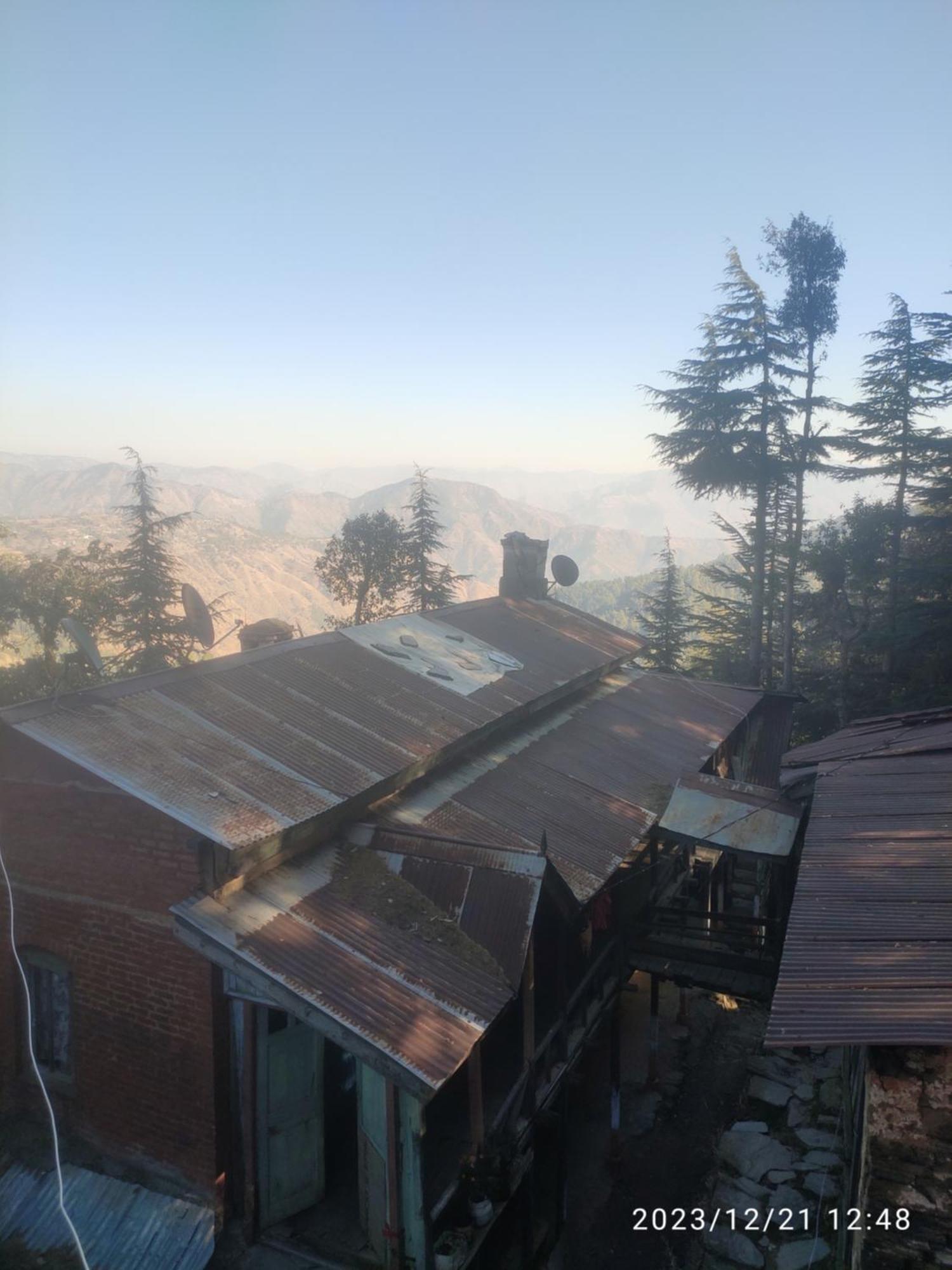 Tree Valley Homestay Chail Ngoại thất bức ảnh