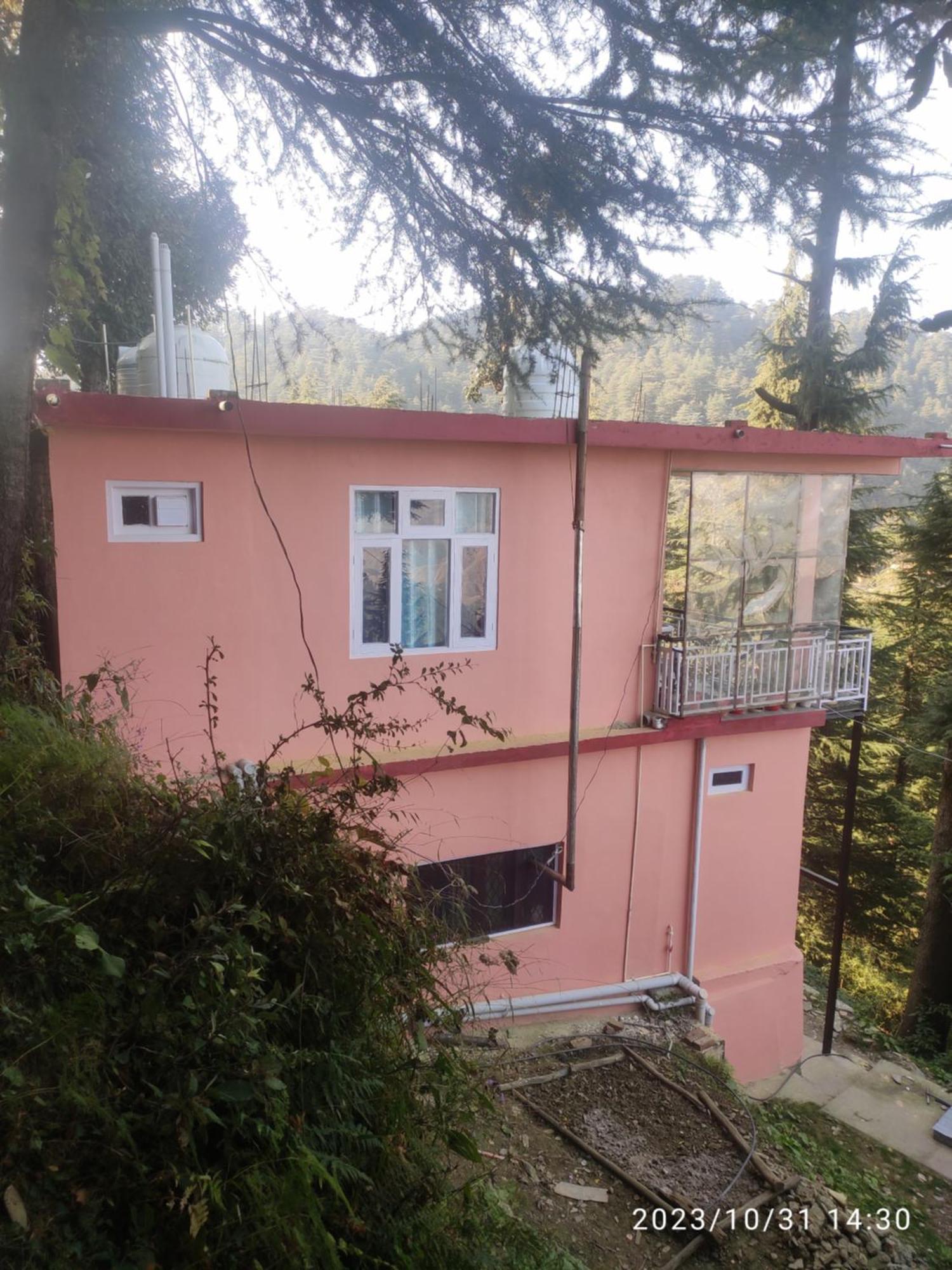 Tree Valley Homestay Chail Ngoại thất bức ảnh
