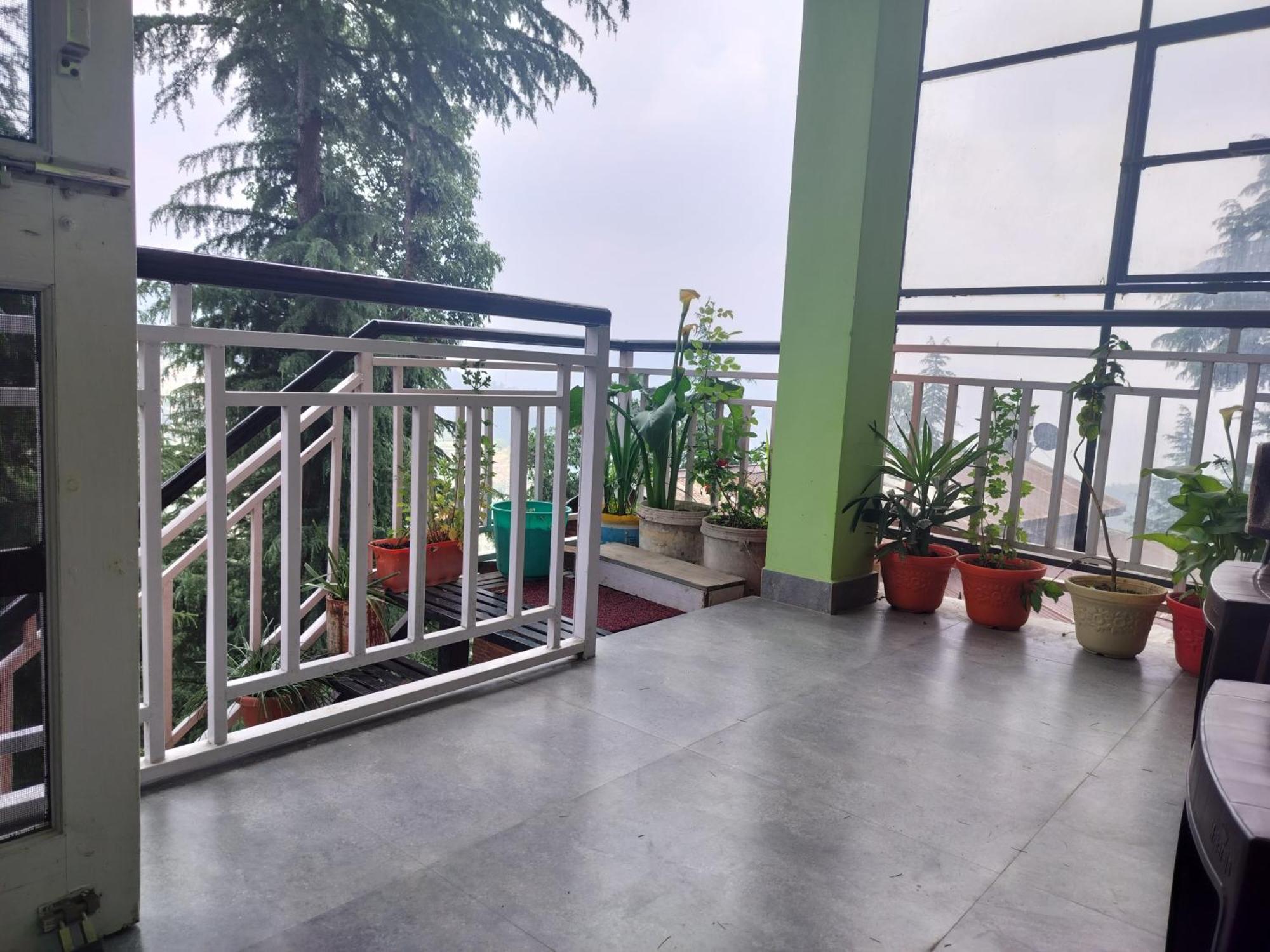 Tree Valley Homestay Chail Ngoại thất bức ảnh