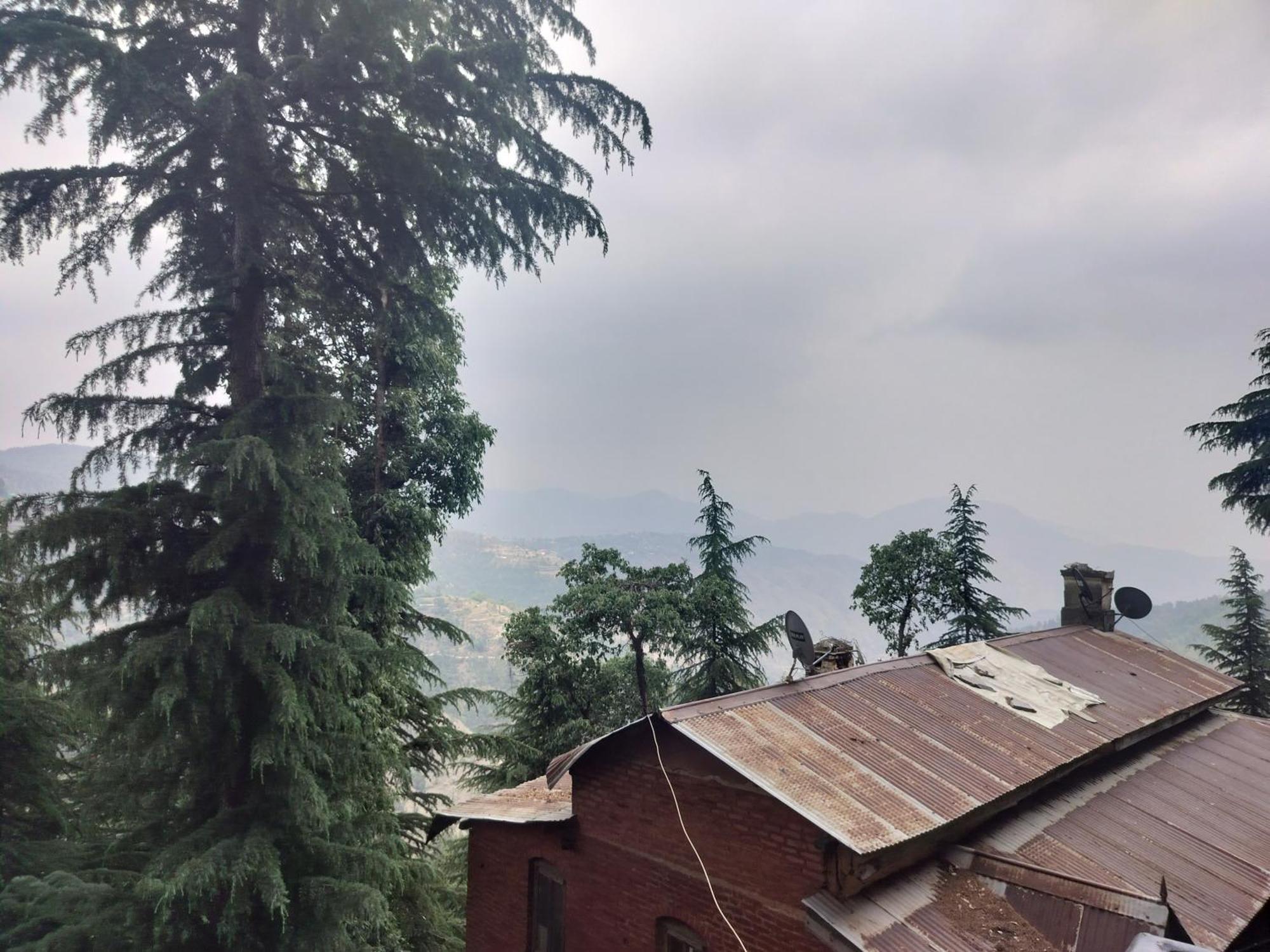 Tree Valley Homestay Chail Ngoại thất bức ảnh