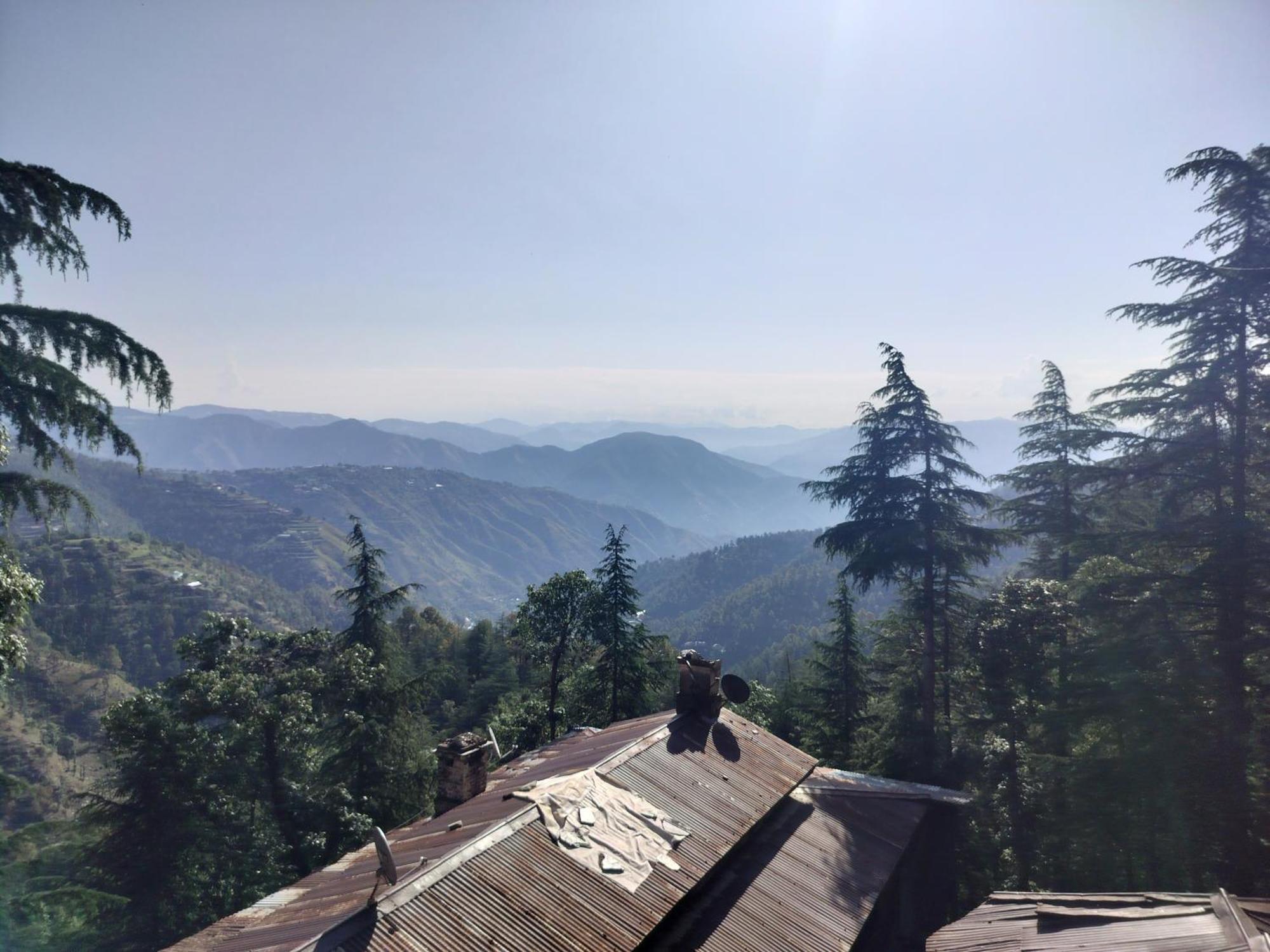Tree Valley Homestay Chail Ngoại thất bức ảnh