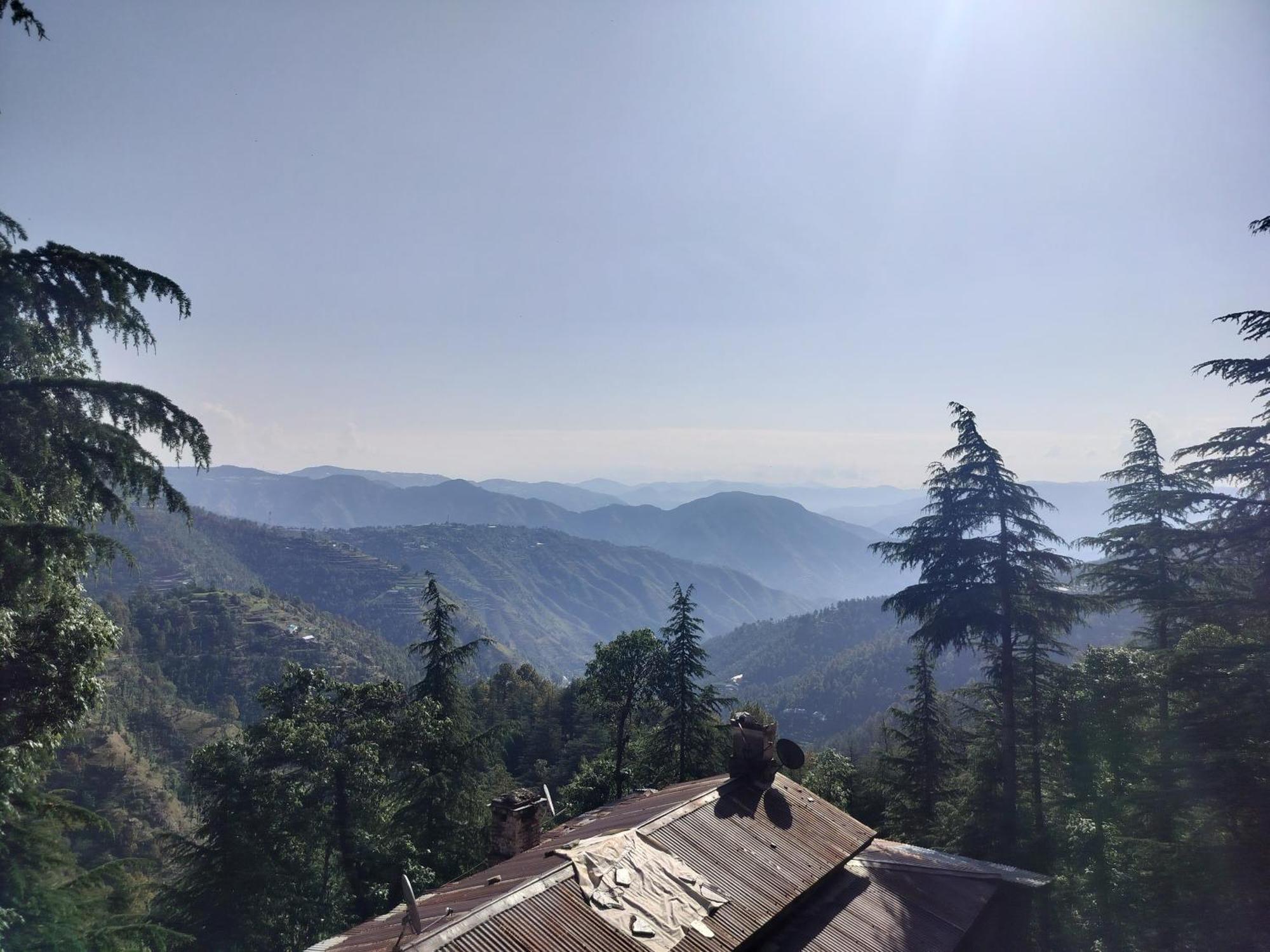 Tree Valley Homestay Chail Ngoại thất bức ảnh
