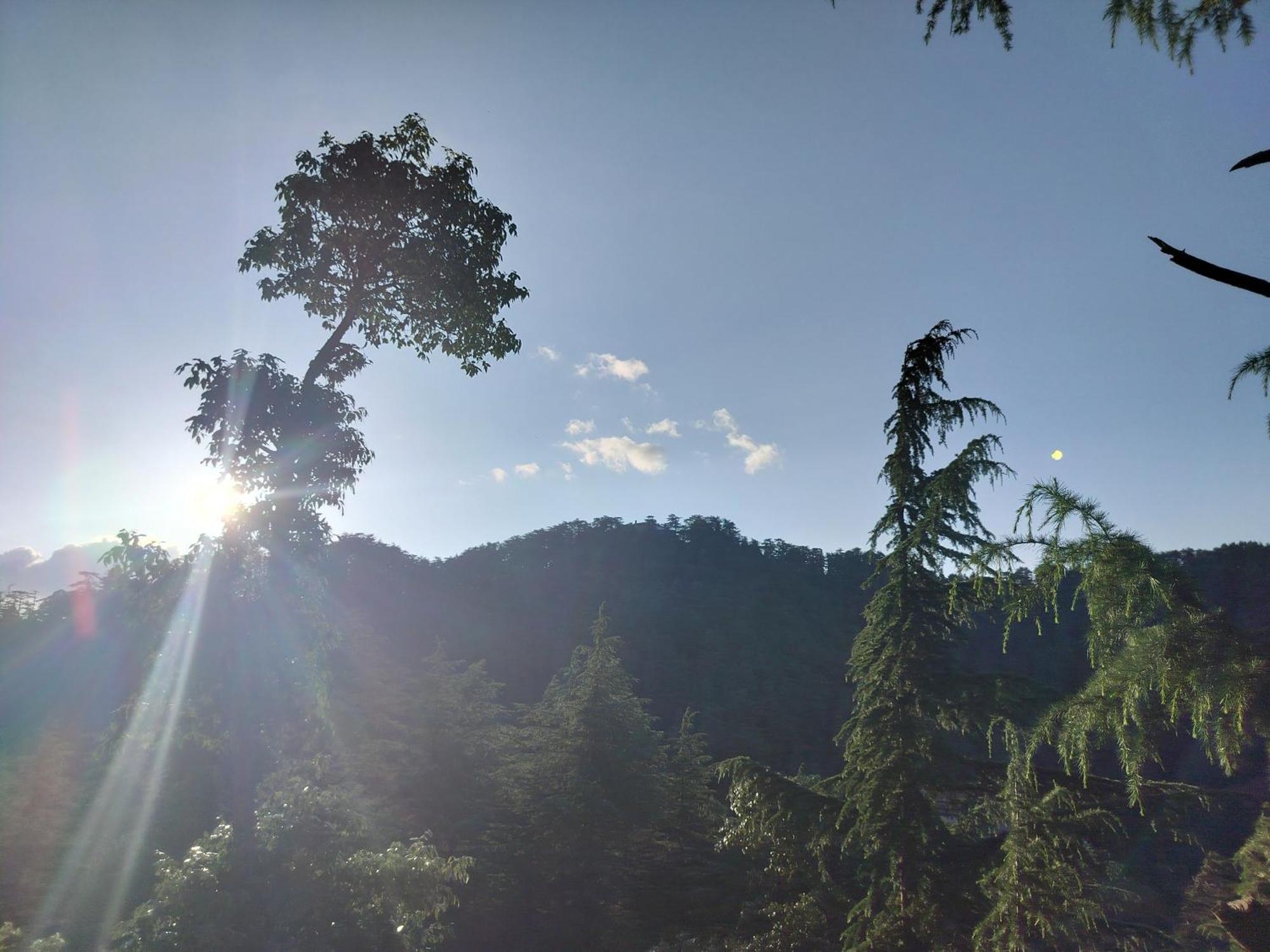 Tree Valley Homestay Chail Ngoại thất bức ảnh