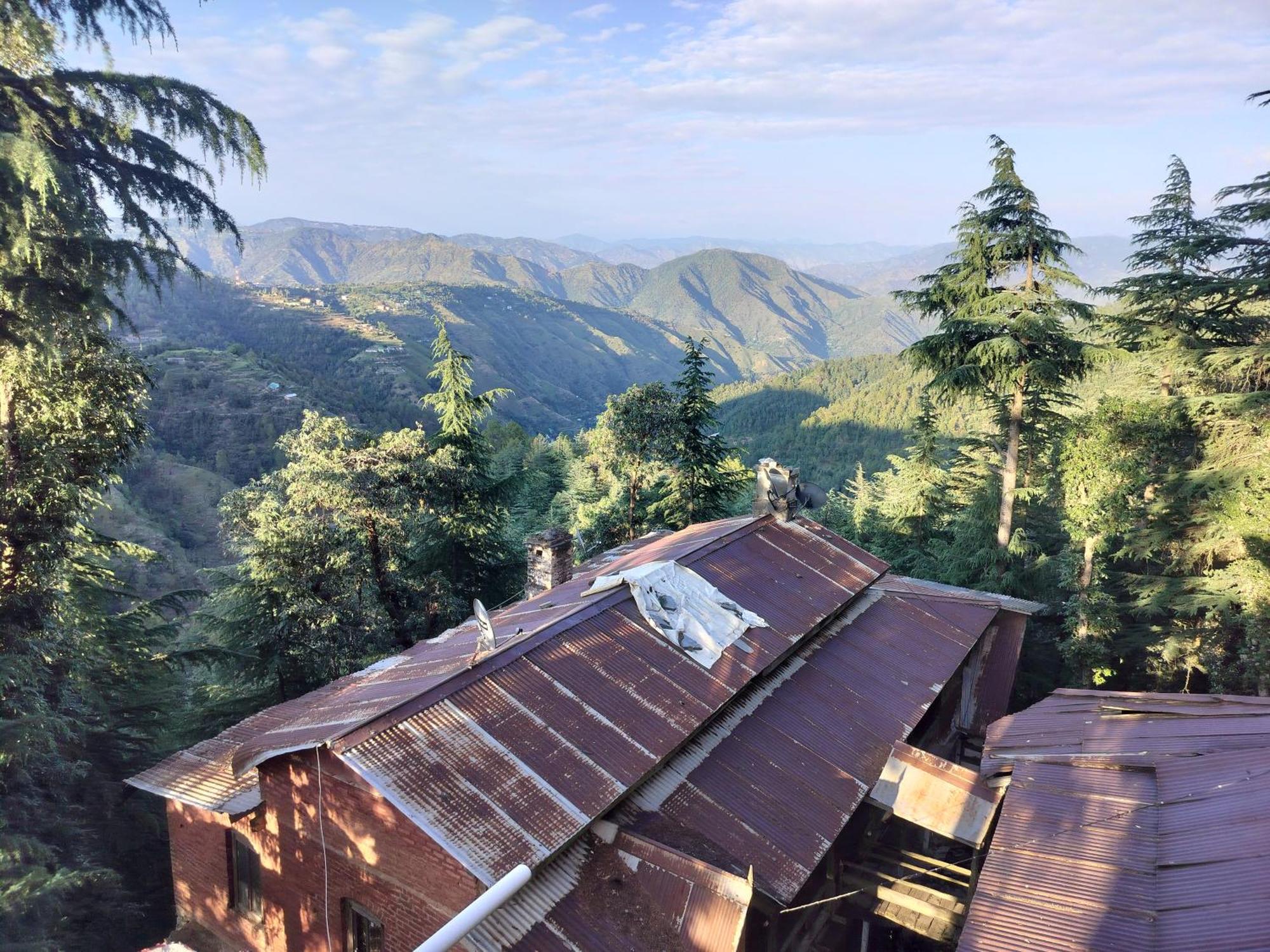 Tree Valley Homestay Chail Ngoại thất bức ảnh