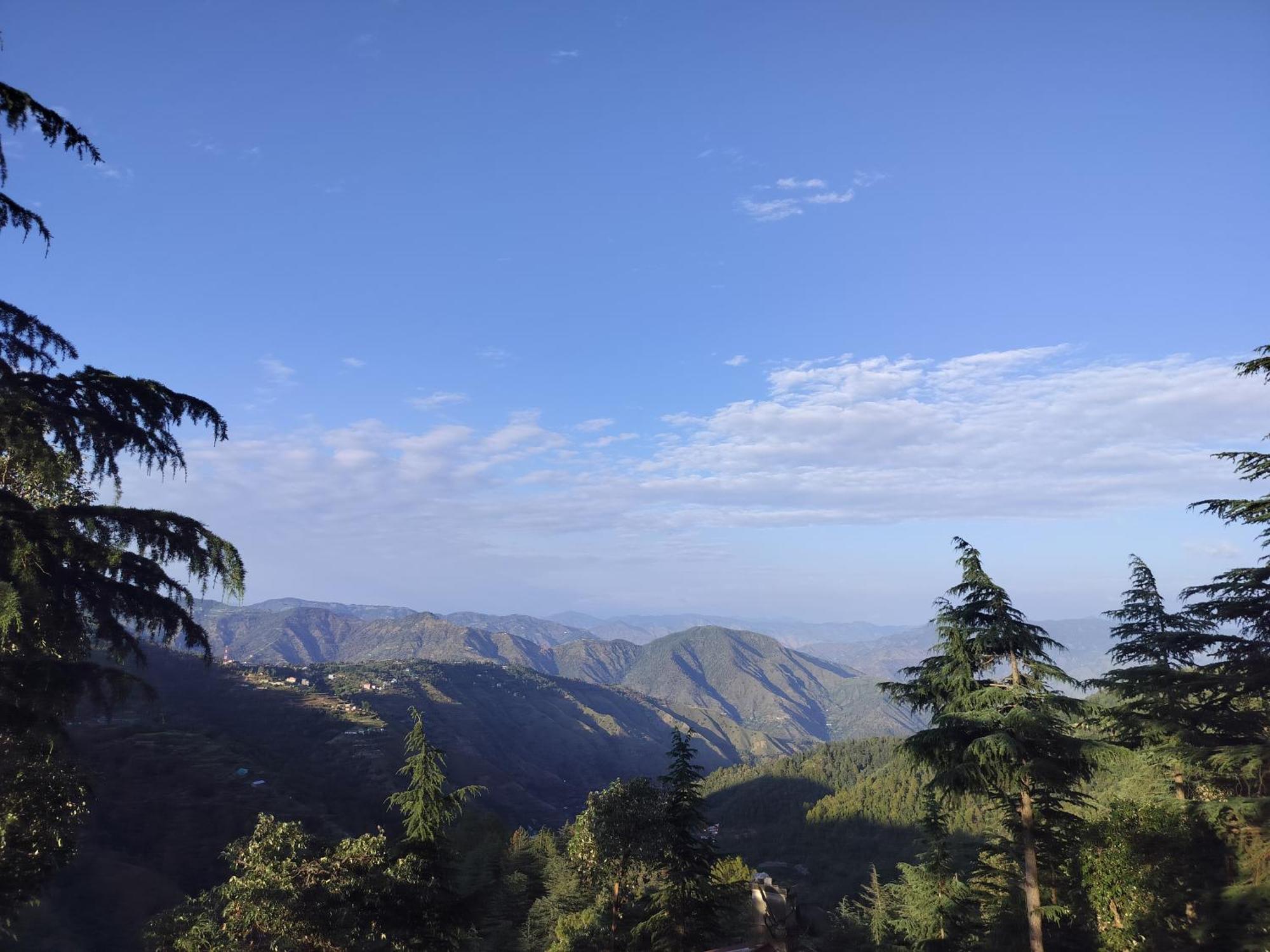 Tree Valley Homestay Chail Ngoại thất bức ảnh