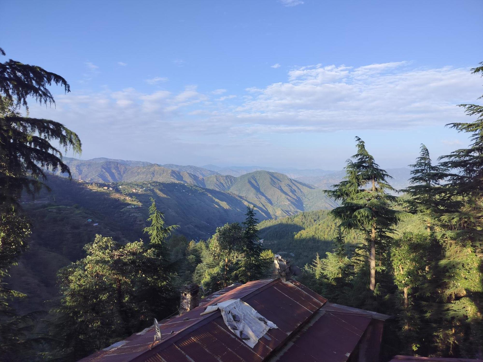 Tree Valley Homestay Chail Ngoại thất bức ảnh